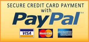 Secure-Credit-Card-Payment-With-PayPal